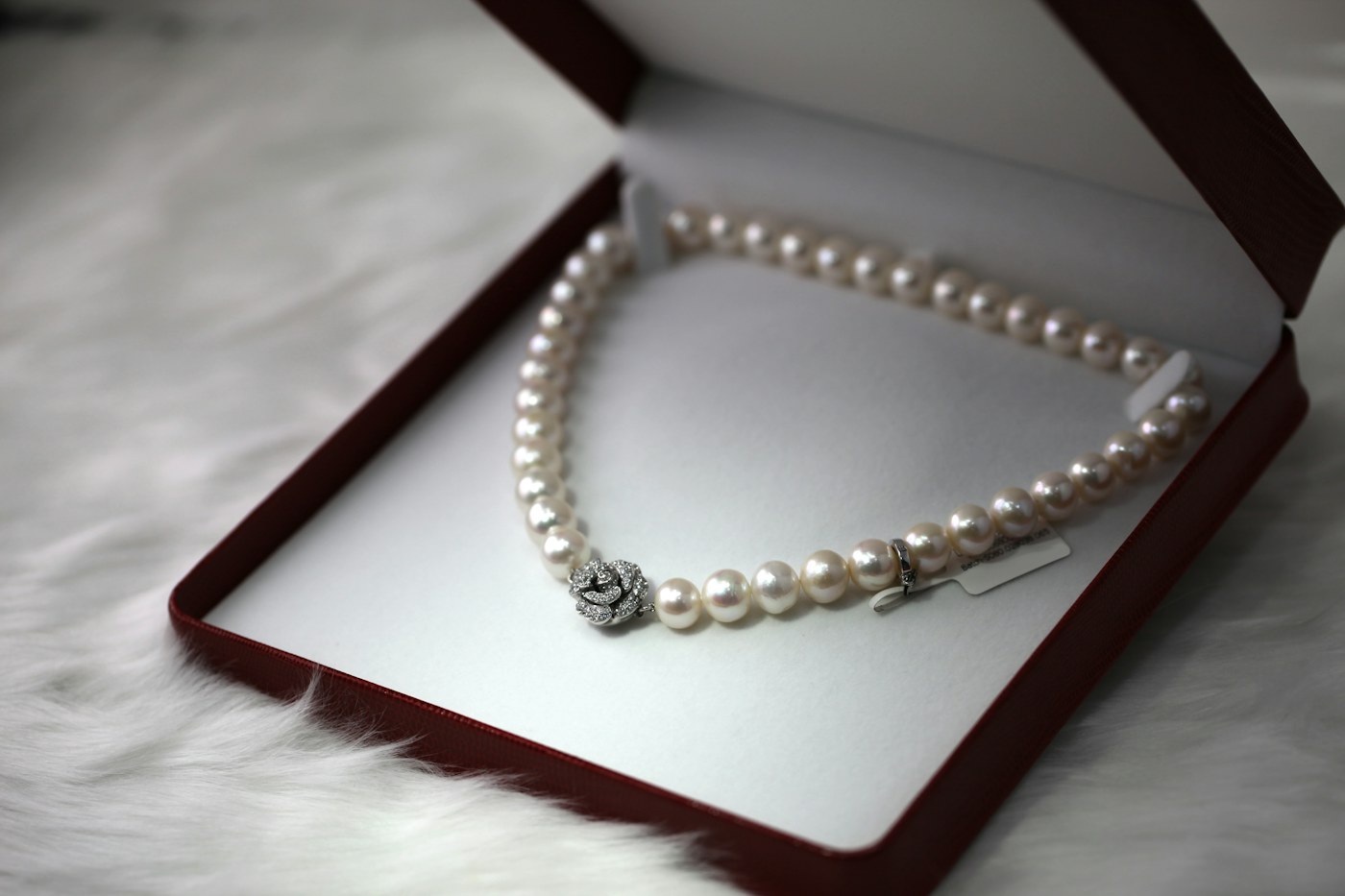 Collar de perlas cultivadas en un estuche de terciopelo